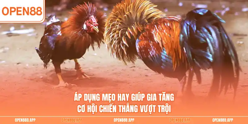 Áp dụng mẹo hay giúp gia tăng cơ hội chiến thắng vượt trội