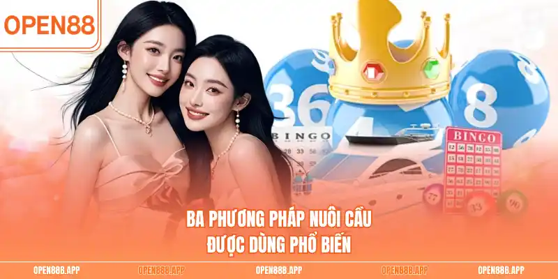 Ba phương pháp nuôi cầu được dùng phổ biến