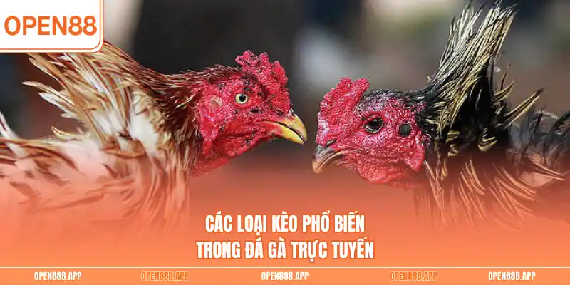 Các loại kèo phổ biến trong đá gà trực tuyến