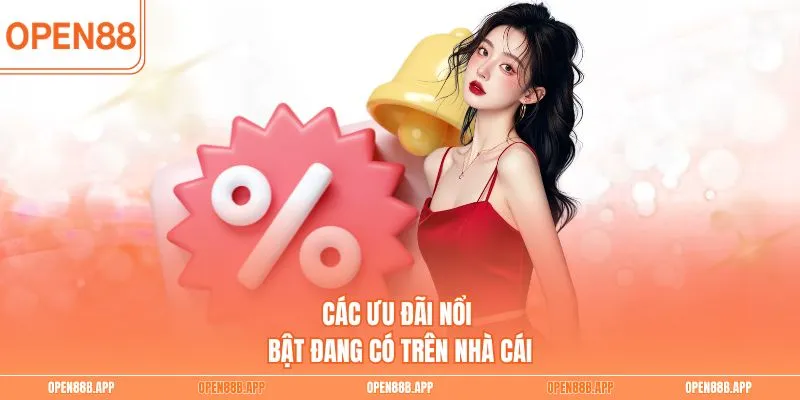 Các ưu đãi nổi bật đang có trên nhà cái