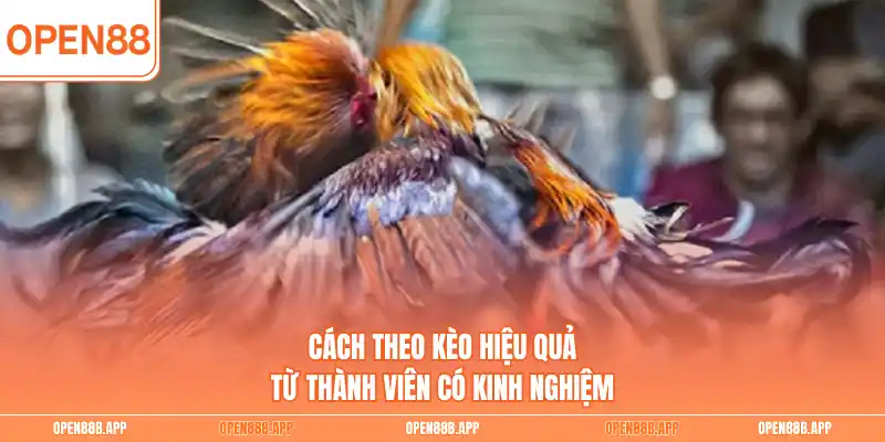 Cách theo kèo hiệu quả từ thành viên có kinh nghiệm