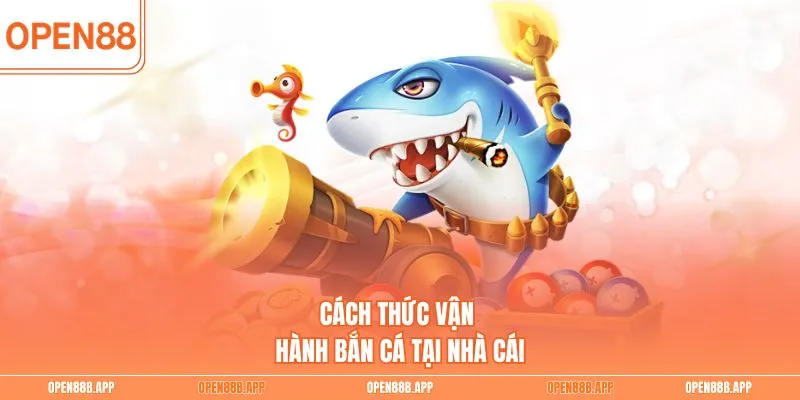 Cách thức vận hành bắn cá tại nhà cái