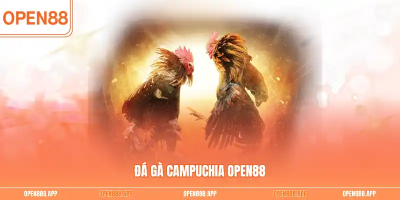 Đá gà Campuchia OPEN88