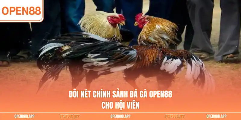 Đôi nét chính sảnh đá gà OPEN88 cho hội viên
