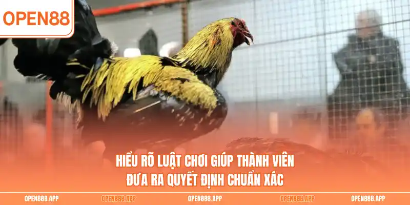 Hiểu rõ luật chơi giúp thành viên đưa ra quyết định chuẩn xác