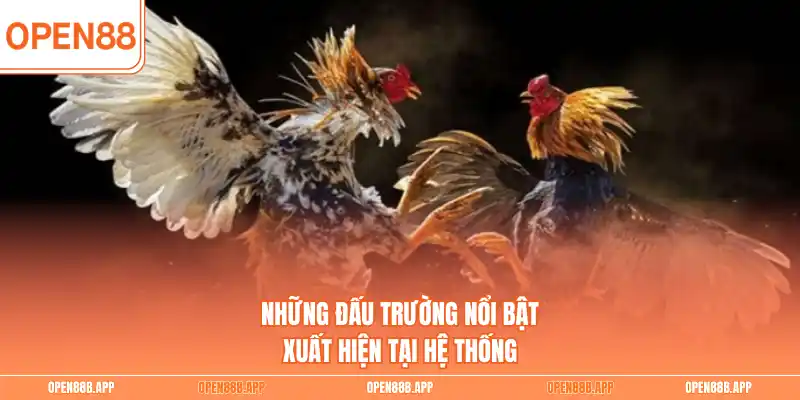 Những đấu trường nổi bật xuất hiện tại hệ thống