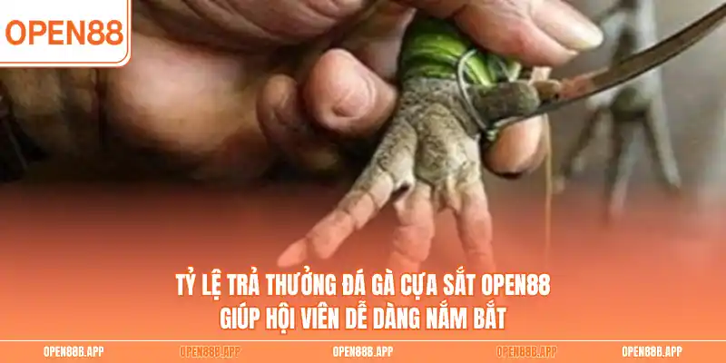 Tỷ lệ trả thưởng đá gà cựa sắt OPEN88 giúp hội viên dễ dàng nắm bắt